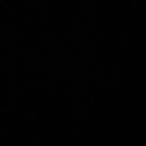 Meet your Posher, Luis